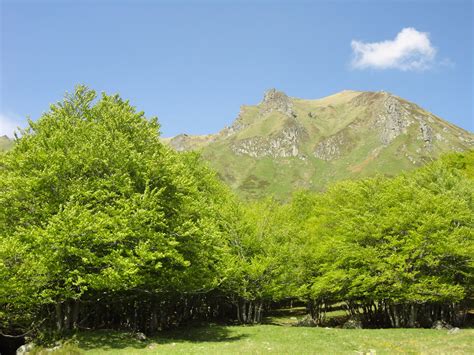 Agenda 2030 local ou Projet territorial de développement durable vous