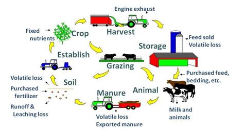 An example of integrated farming system [3] | Download Scientific Diagram