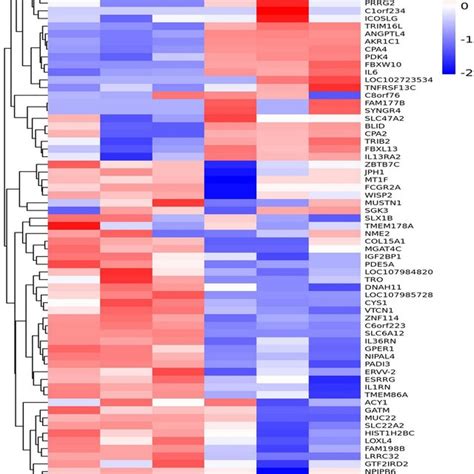 Heat Maps Of Hierarchical Clustering Analysis Depicting The DEGs The