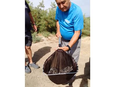 El Departament D Agricultura Allibera 115 00 Govern Cat