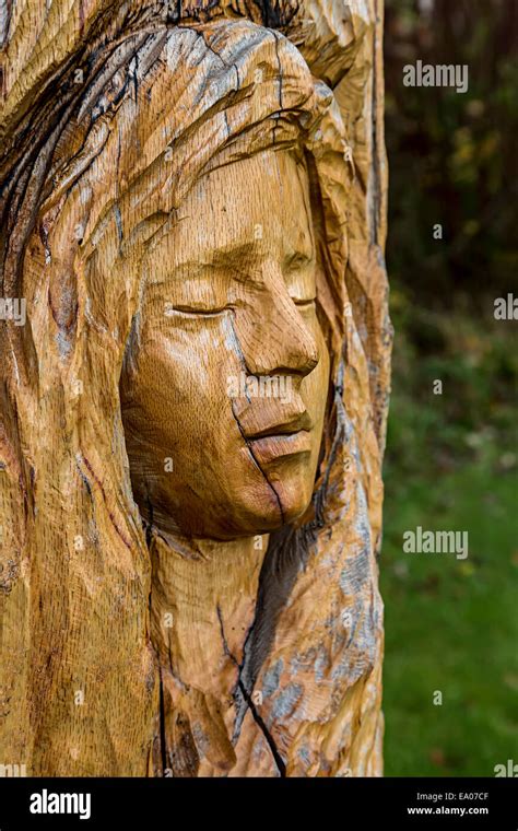 Carved Wooden Face In Park Pentrefoelas Conwy North Wales Uk Stock