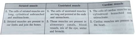 Differentiate Between Striated Unstriated And Cardiac Muscles On The