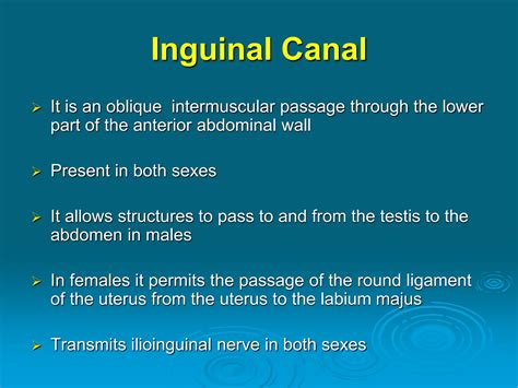 Groin Anatomy Inguinal Hernia Clinical Anatomy Ppt