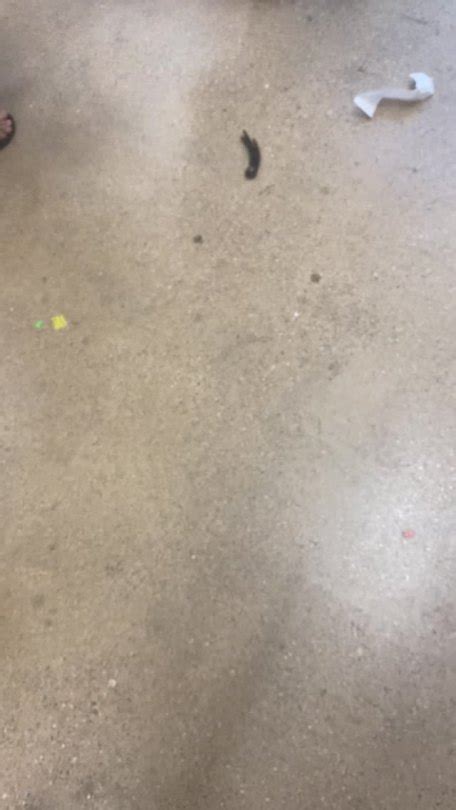 Granny Had A Fat Ass Tumbex