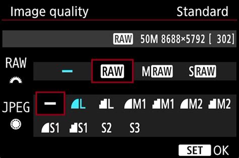 Which Camera Settings Affect RAW Photos?