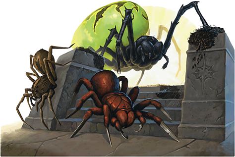 Deathjump Spider Forgotten Realms Wiki Fandom