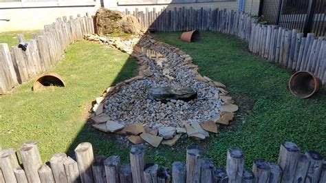 Outdoor Learning Station: Box Turtle Habitat