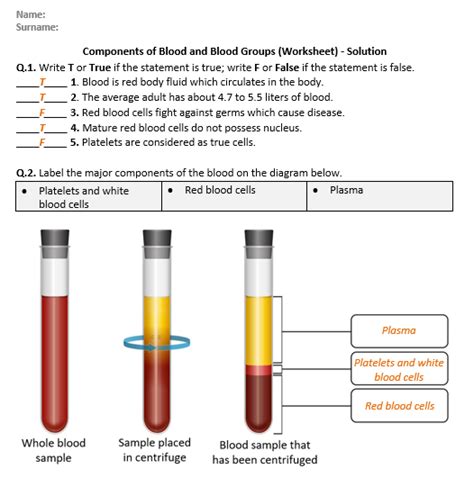 Blood Work Lab Sheet