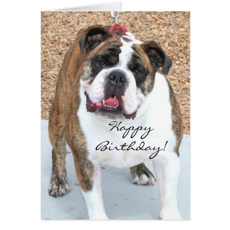 Happy Birthday English Bulldog Greeting Card Zazzle