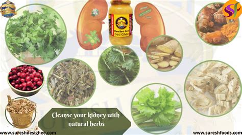 Herbs for Kidney Health | SureshFoods.com