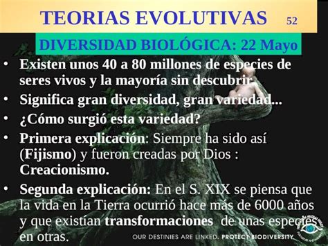 PPT TEORIAS EVOLUTIVAS 52 Existen Unos 40 A 80 Millones De Especies