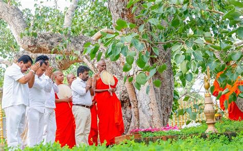 President Receives Blessings From The Sacred Jaya Sri Maha Bodh Pmd Pmd