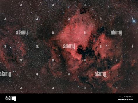 NGC 7000 IC5070 The North America And Pelican Nebula In Cygnus Stock