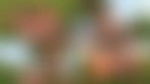 Ytboobs Porn Videos Clips Sale