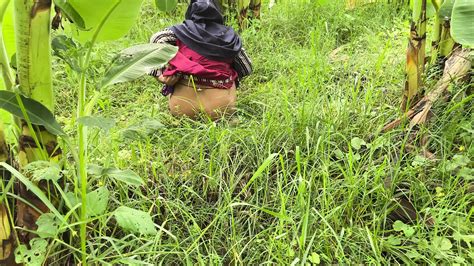 Saya Membawa Jiran Saya Ke Dalam Ladang Pisang Dan Memeluknya Dan Mula Berkongkek Xhamster