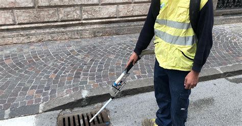 Maggio Riprende La Lotta Alla Zanzara Tigre In Centro A Trento