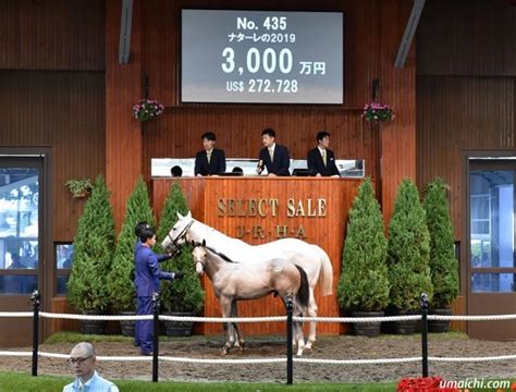 Jra競走に勝ったセール出身馬紹介2022917 19､ガイアフォースがセントライト記念優勝 インフォメーション｜サラブレッドセール