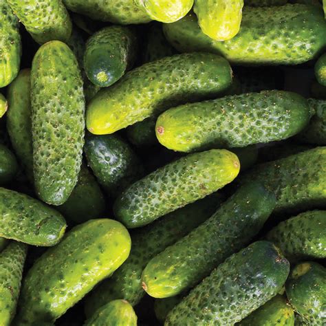 4 Reasons to Eat More Cucumbers - Well Being Journal
