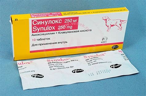 Синулокс для кошек и собак - инструкция по применению