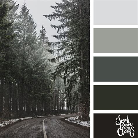 Winter Color Palettes Inspiring Color Schemes By Sarah Renae Clark