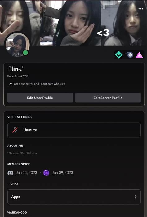 My Discord Profile In Discord Discord Emotes Profile