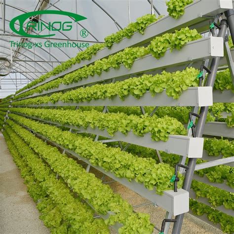 A Frame Vertical Farming Companies Greenhouse For Lettuce Hydroponics