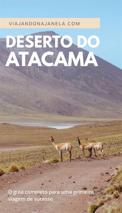 Deserto Do Atacama Se Voc Est Indo Para O Atacama Pela Primeira Vez