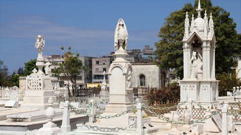 Datos Curiosos De Las Tumbas Del Cementerio Colón De La Habana