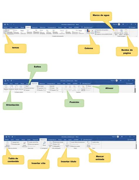 Conociendo El Entorno Del Procesador De Textos Microsoft Word Pdf