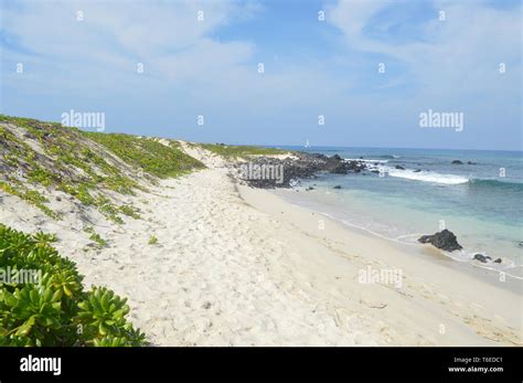 White Sandy Beach - Hawaii Stock Photo - Alamy