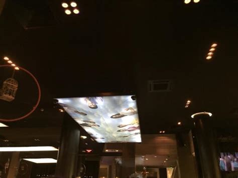 Esterhasi Bar, Sofia - Restaurant Reviews, Phone Number & Photos ...
