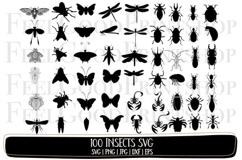 Insect Svg Bundle Insects Svg Insect Dxf Insect Png Insect Eps The