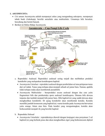 1 Ascomycota Ciri Umum A