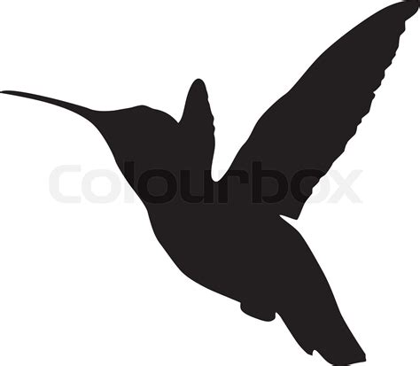 Silhouette Eines Kolibris Stock Vektor Colourbox