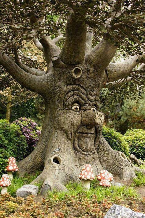 A Tree With An Evil Face Carved Into Its Trunk