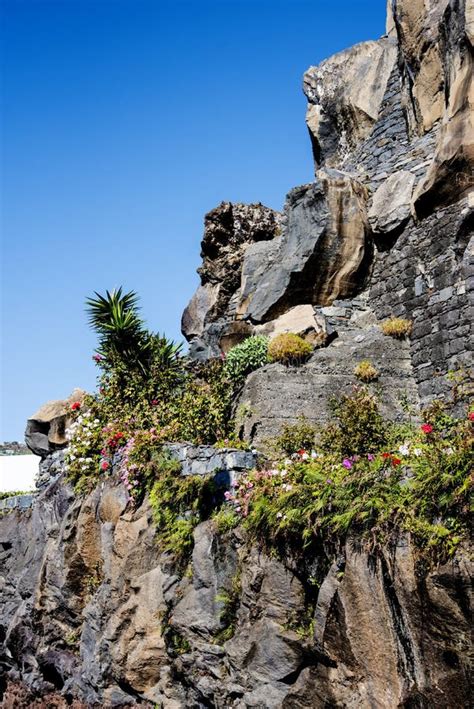 Camara De Lobos Est Un Village De Pêcheurs Pittoresque Avec De Hautes