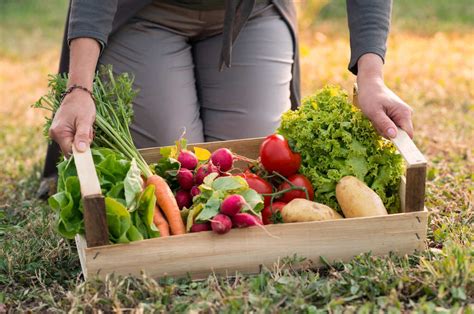 Aprovecha Tu Jard N Para Hacer Unos F Ciles Cultivos De Frutas Y