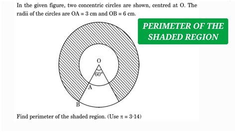 Find The Perimeter Of The Shaded Region YouTube