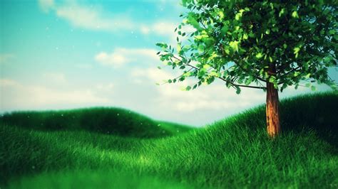 Grassy Field Wallpaper by robertllynch on DeviantArt