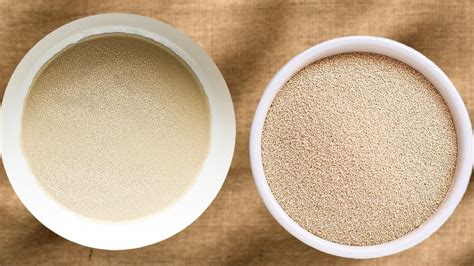 Instant Yeast Vs Active Dry Yeast Everything You Need To Know