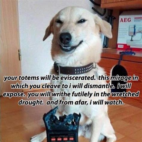 Stream Fuck Youuuuu Fuck You By Samtrax Listen Online For Free On Soundcloud