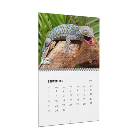 2025 animal photo wall calendar