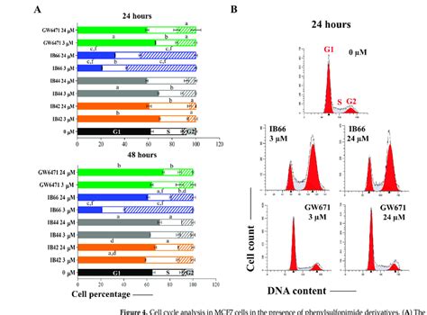 Cell Cycle Analysis In Mcf7 Cells In The Presence Of Phenylsulfonimide