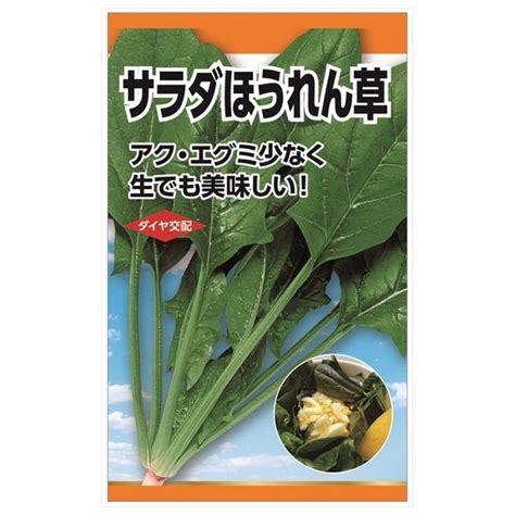 ほうれん草 サラダほうれん草 種・小袋 （20ml） F1（一代交配種） Tanex 0183 苗木部 花ひろばオンライン 通販