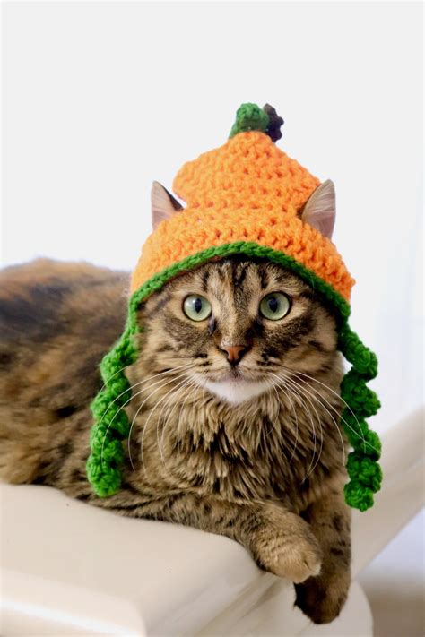 Pumpkin Cat Hat Thanksgiving Cat Hat Fall Hat For Cats Kittens And