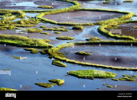 loktak lake imphal Stock Photo - Alamy