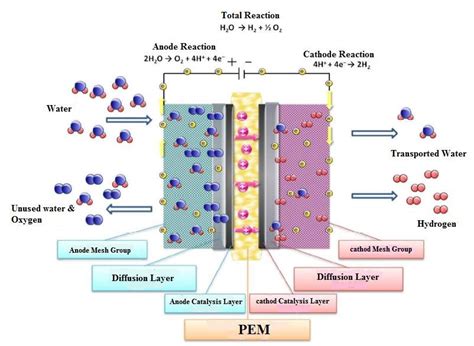 Pem Electrolysis Stack Download Scientific Diagram
