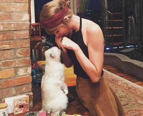 Taylor Swift proves she's a friend to felines in this cute snap. - The ...