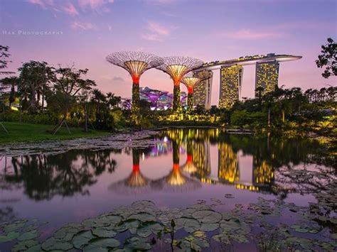 15 Gardens by the Bay Attractions That Are Too Hard To Miss!