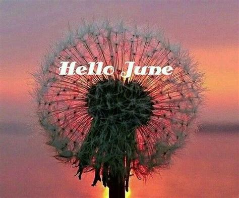 Hello June Pictures Photos And Images For Facebook Tumblr Pinterest